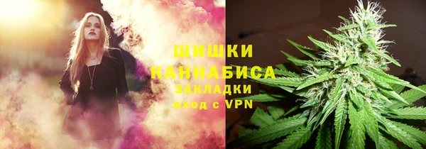 гашик Нягань