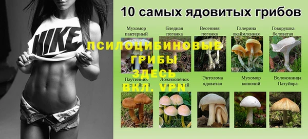 марихуана Новозыбков