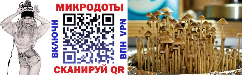 ОМГ ОМГ ССЫЛКА  Инза  Галлюциногенные грибы Psilocybine cubensis 